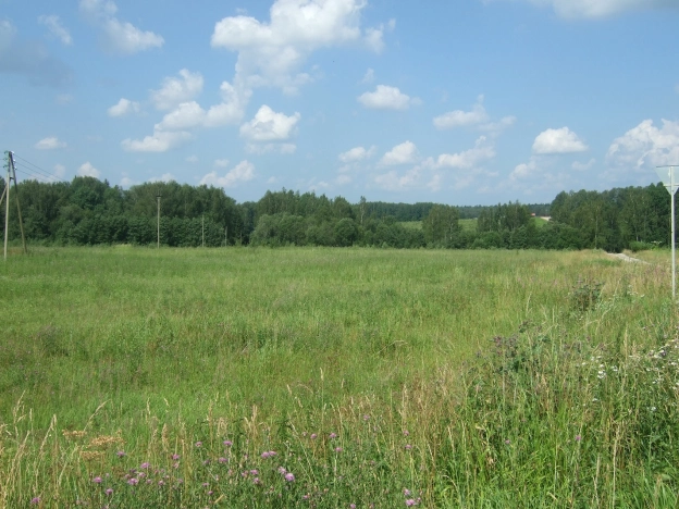 Купить земельный участок в Тверской области. Вариант № 46111, 2, площадь -  квм, цена 7999999 рублей