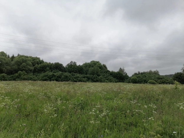 Купить земельный участок на улице Полянка в Владимире. Вариант № 274200, 11, площадь -  квм, цена 400000 рублей