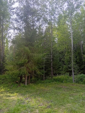 Купить земельный участок у метро Рыбацкое в Ленинградской области. Вариант № 2120741, 9, площадь -  квм, цена 3150000 рублей