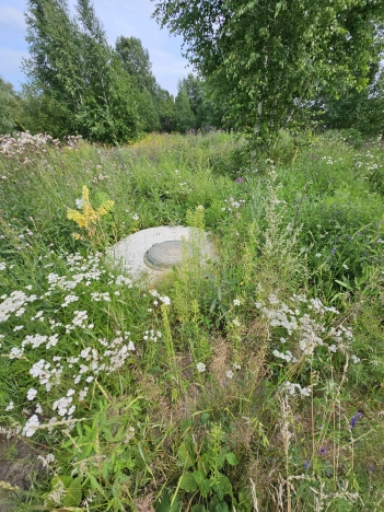 Купить земельный участок в Тобольске. Вариант № 1050538, 1, площадь -  квм, цена 1600000 рублей