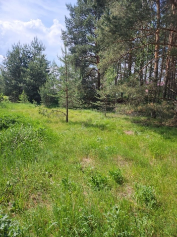 Купить земельный участок в Покрове. Вариант № 6271, 0, площадь -  квм, цена 1490000 рублей