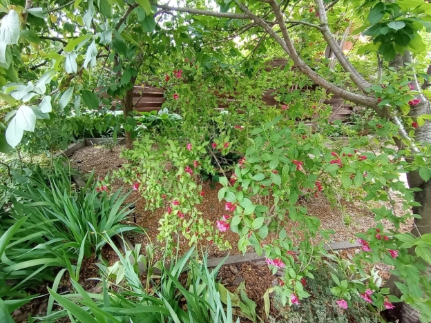 Купить дом на улице Долинская в Ростове-на-Дону. Вариант № 42243, 36, площадь -  квм, цена 13650000 рублей