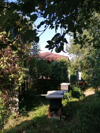 Купить дом в Боре. Вариант № 10277, 10, площадь -  квм, цена 5830000 рублей