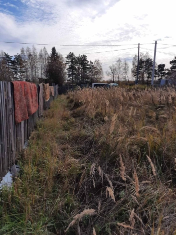 Купить земельный участок в Тобольске. Вариант № 1113, 3, площадь -  квм, цена 300000 рублей