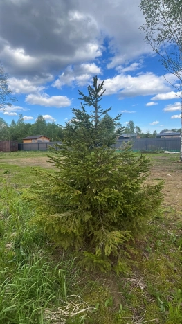 Купить земельный участок в Тверской области. Вариант № 18690, 26, площадь -  квм, цена 6799000 рублей