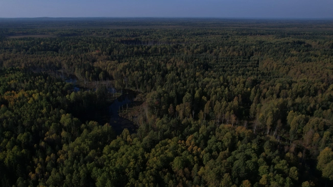 Купить земельный участок в Республике Карелия. Вариант № 13851, 27, площадь -  квм, цена 6000000 рублей