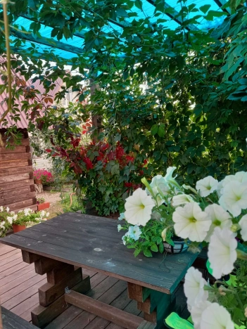 Купить дачу в Новосибирске. Вариант № 8910504, 14, площадь -  квм, цена 1950000 рублей