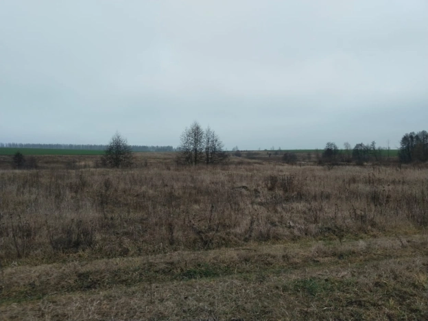 Купить дом на улице Линейная в Московской области. Вариант № 11036052, 17, площадь -  квм, цена 990000 рублей