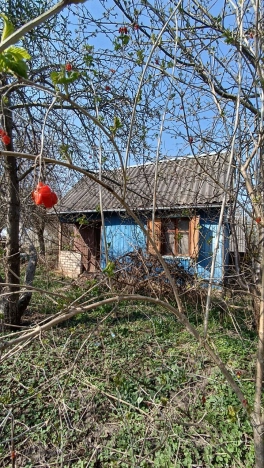 Купить земельный участок в Калининградской области. Вариант № 34211, 8, площадь -  квм, цена 535000 рублей