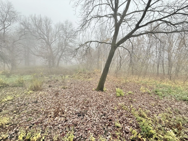 Купить двухкомнатную квартиру на вторичке в Пензенской области. Вариант № 8778658, 7, площадь -  квм, цена 3000000 рублей