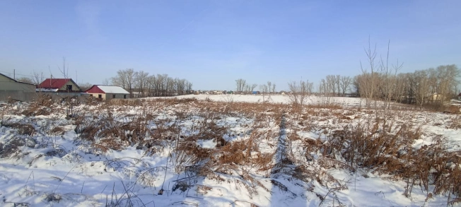 Купить земельный участок в Алтайском крае. Вариант № 9857028, 4, площадь -  квм, цена 690000 рублей