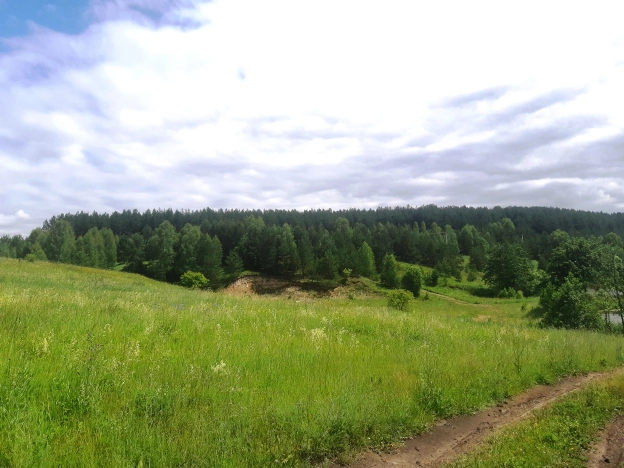 Купить земельный участок в Пензенской области. Вариант № 55110, 6, площадь -  квм, цена 2250000 рублей