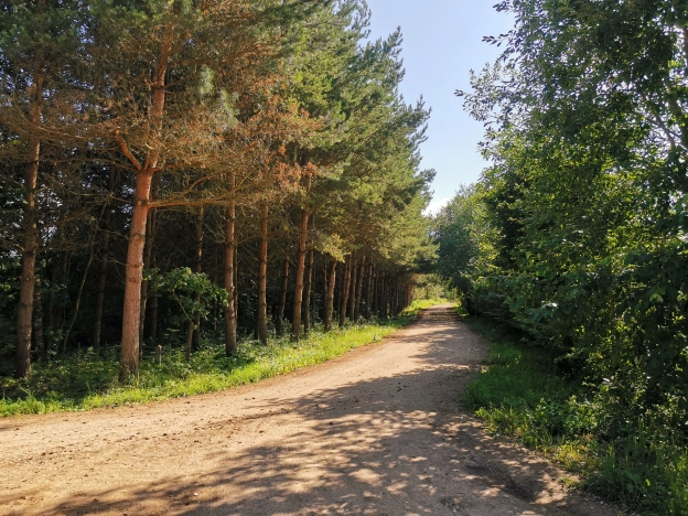Купить дом на улице Заозёрный переулок в Смоленской области. Вариант № 1537, 4, площадь -  квм, цена 8200000 рублей