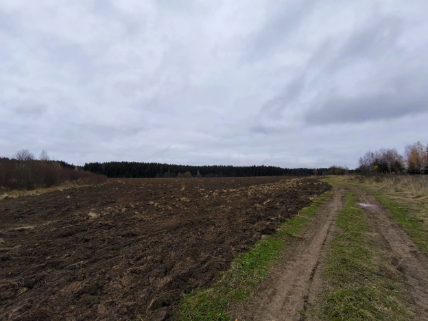 Купить земельный участок в Вологодской области. Вариант № 8075276, 5, площадь -  квм, цена 5300000 рублей