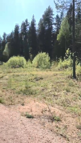 Купить дом в Санкт-Петербурге. Вариант № 46240, 4, площадь -  квм, цена 18000000 рублей