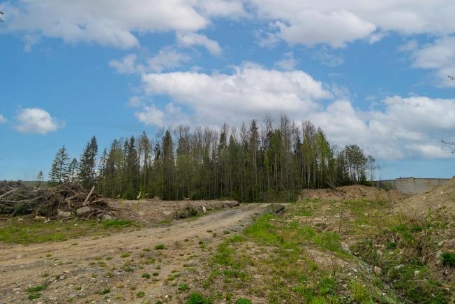 Купить земельный участок в Петрозаводске. Вариант № 32333, 6, площадь -  квм, цена 4500000 рублей