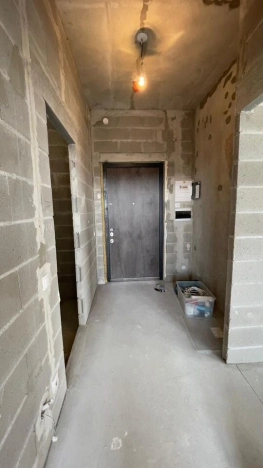 Купить однокомнатную квартиру у метро Удельная в Санкт-Петербурге. Вариант № 40629, 2, площадь -  квм, цена 16000000 рублей