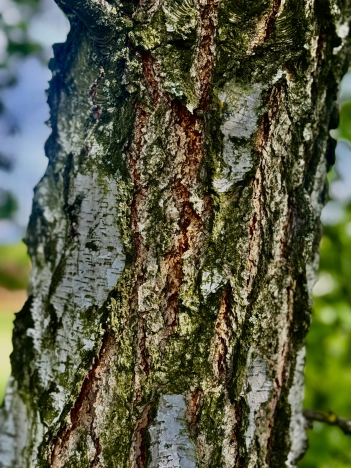 Купить дом на улице 2-й переулок Гагарина в Старом Осколе. Вариант № 44354, 15, площадь -  квм, цена 3250000 рублей