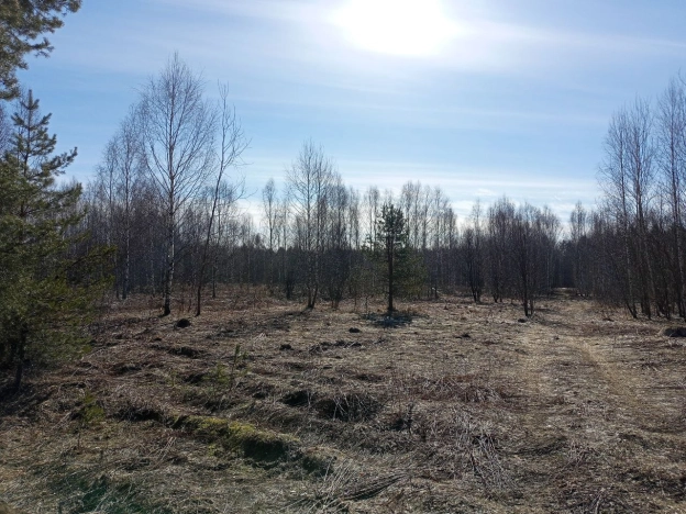 Купить земельный участок в Нижегородской области. Вариант № 31385, 5, площадь -  квм, цена 2000000 рублей