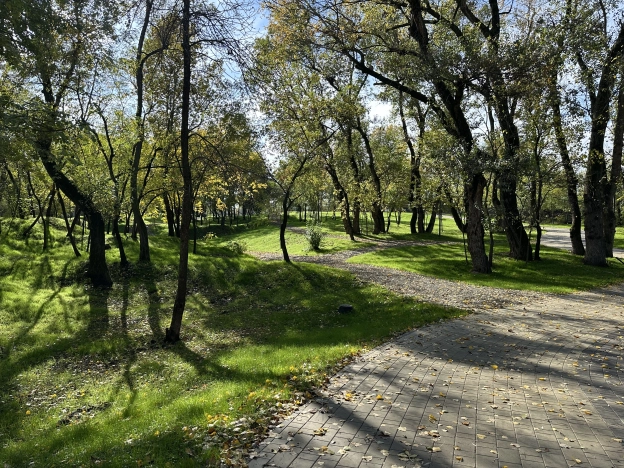 Купить Студию в Краснодаре. Вариант № 5930197, 16, площадь -  квм, цена 4950000 рублей