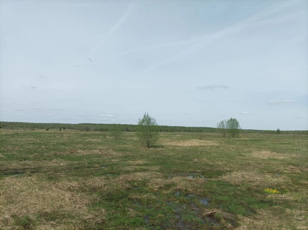 . Вариант № 21194, 4, площадь -  квм, цена 4050000.0000 рублей
