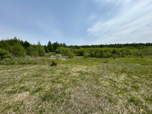 Купить земельный участок в Южно-Сахалинске. Вариант № 19171, 2, площадь -  квм, цена 600000 рублей