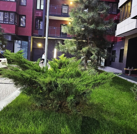 Купить двухкомнатную квартиру в районе Кировский в Ростове-на-Дону. Вариант № 5358199, 13, площадь -  квм, цена 11990000 рублей