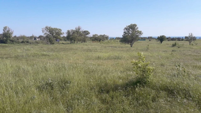 Купить земельный участок в Керчи. Вариант № 5806, 8, площадь -  квм, цена 700000 рублей