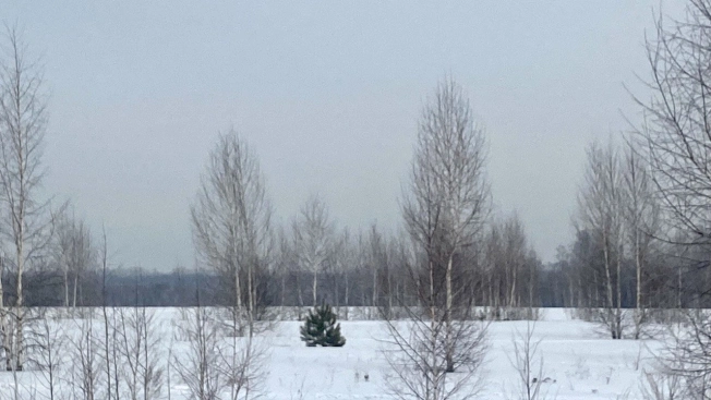 Купить земельный участок в Новосибирске. Вариант № 28033, 5, площадь -  квм, цена 3200000 рублей