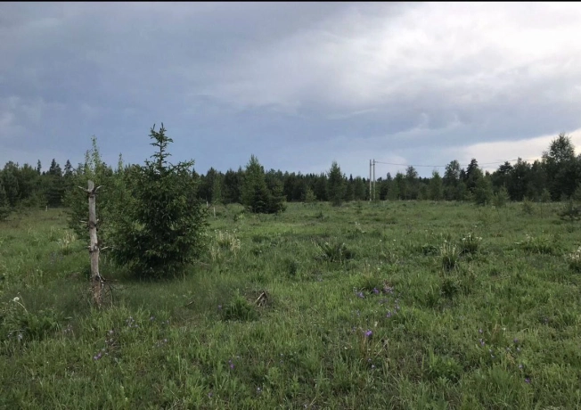 Купить земельный участок в Иванове. Вариант № 38333, 4, площадь -  квм, цена 950000 рублей