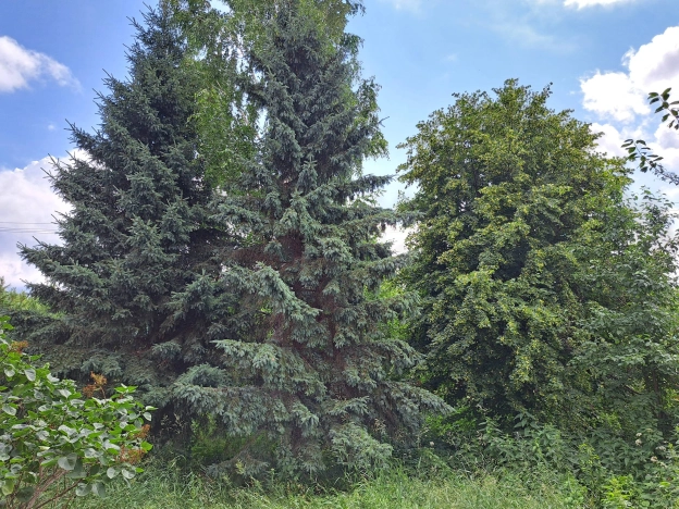 Купить дом в Новосибирске. Вариант № 2840768, 31, площадь -  квм, цена 6956000 рублей