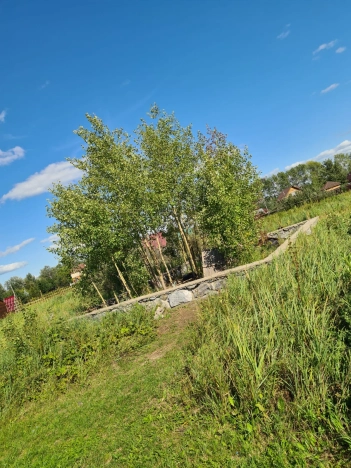 Купить земельный участок на улице Лесная в Тюменской области. Вариант № 5547069, 0, площадь -  квм, цена 650000 рублей