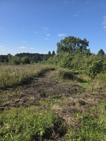 Купить земельный участок в Владимире. Вариант № 3776577, 3, площадь -  квм, цена 1100000 рублей