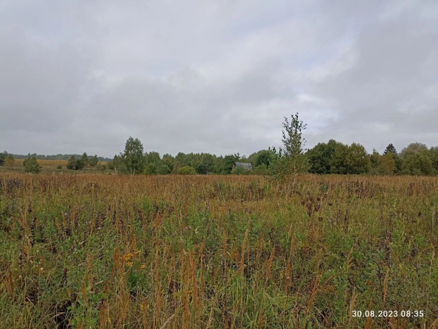Купить земельный участок в Тульской области. Вариант № 3010, 0, площадь -  квм, цена 190000 рублей