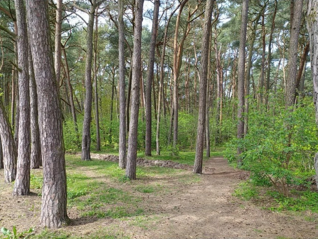 Купить дом в Зеленоградске. Вариант № 44577, 3, площадь -  квм, цена 14800000 рублей