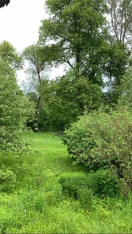 Купить дом на улице Зелёная в Брянской области. Вариант № 597, 11, площадь -  квм, цена 4800000 рублей