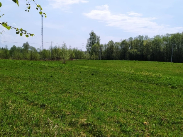 Купить земельный участок в Краснозаводске. Вариант № 972, 7, площадь -  квм, цена 1100000 рублей