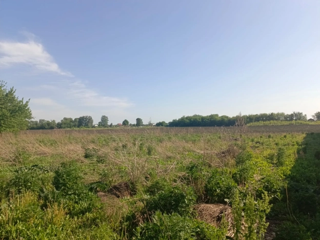 Купить земельный участок в Рязани. Вариант № 269295, 0, площадь -  квм, цена 760000 рублей