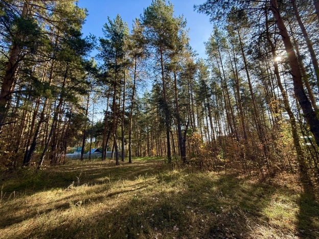 Купить земельный участок в Пензе. Вариант № 6715172, 11, площадь -  квм, цена 3100000 рублей