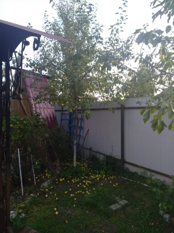 Купить дом в Йошкар-Оле. Вариант № 7516, 5, площадь -  квм, цена 4300000 рублей