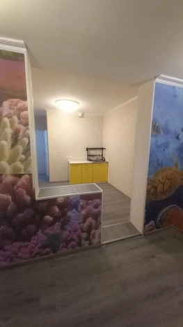 Купить комнату в Москве. Вариант № 9230711, 3, площадь - квм, цена 9800000 рублей