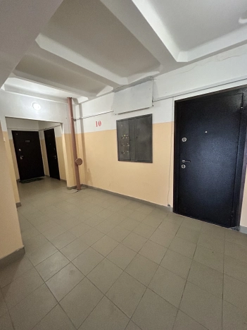 Купить Студию на улице Виктора Шевелёва в Новосибирске. Вариант № 18885, 12, площадь -  квм, цена 3080000 рублей