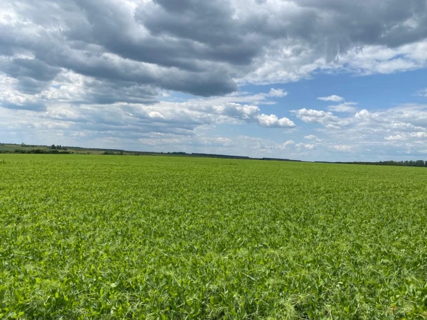 Купить коммерческую недвижимость в Белинском. Вариант № 2303, 14, площадь - квм, цена 455000000 рублей