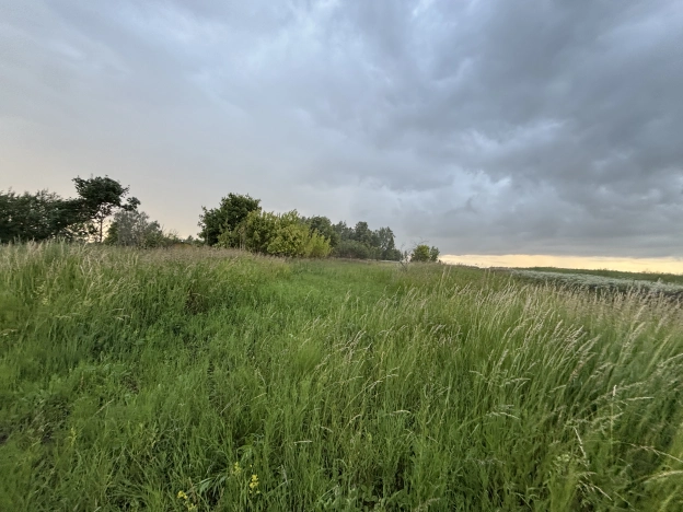 Купить земельный участок в Рязанской области. Вариант № 57791, 0, площадь -  квм, цена 250000 рублей