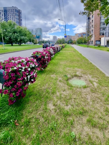 Купить квартиру в Москве. Вариант № 3308964, 31, площадь - квм, цена 33500000.0000 рублей