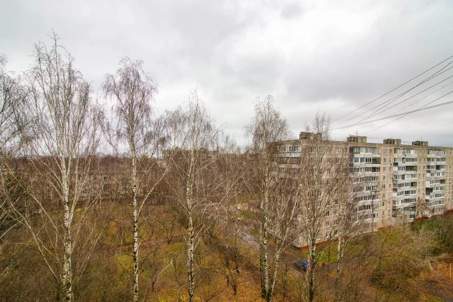 . Вариант № 9024225, 6, площадь - 50 квм, цена 5500000 рублей