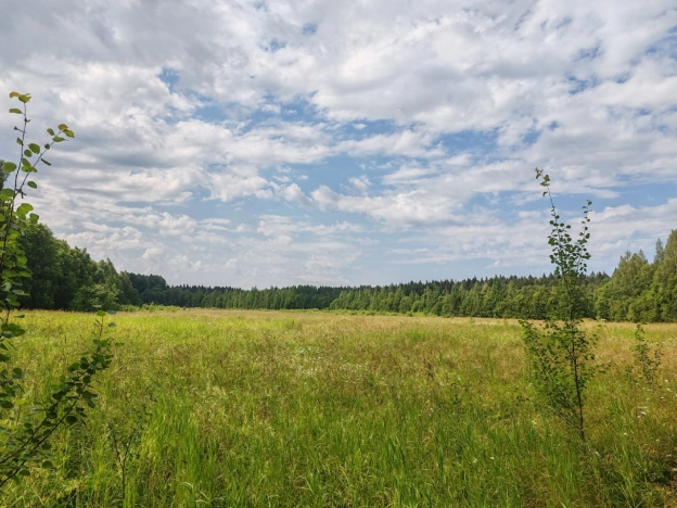 Купить земельный участок на улице Южный склон в Ленинградской области. Вариант № 6255740, 0, площадь -  квм, цена 2750000 рублей