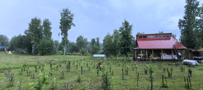 Купить земельный участок в Искитиме. Вариант № 19506, 41, площадь -  квм, цена 3430000 рублей