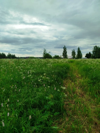 Купить земельный участок в Вологодской области. Вариант № 53369, 10, площадь -  квм, цена 2100000 рублей