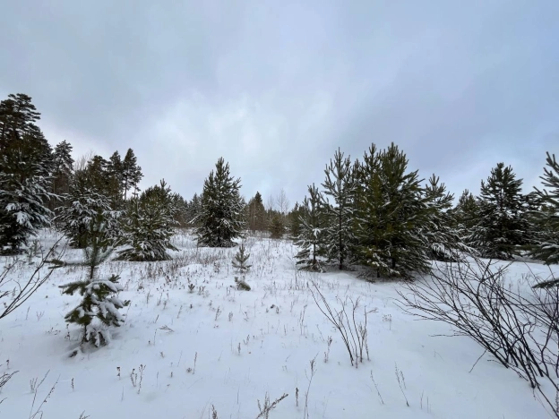 Купить земельный участок в Улан-Удэ. Вариант № 8910520, 3, площадь -  квм, цена 900000 рублей